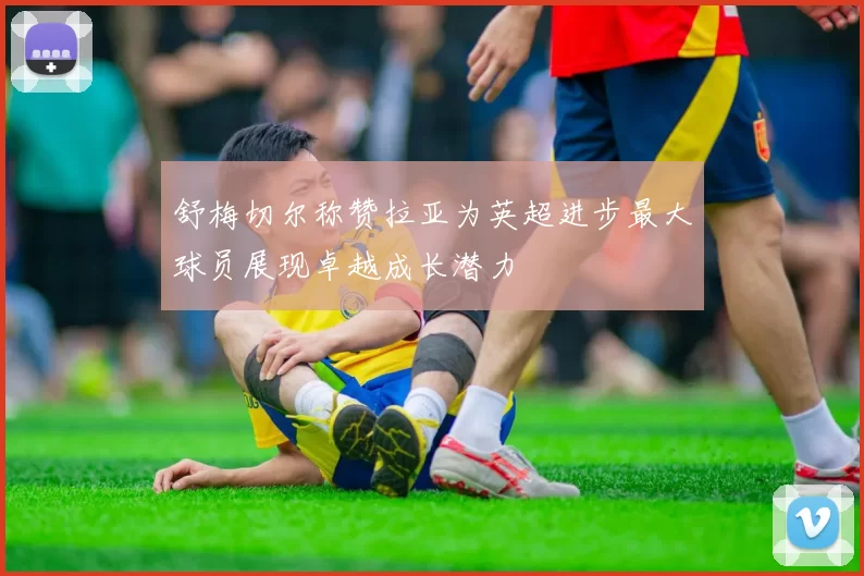 舒梅切尔称赞拉亚为英超进步最大球员展现卓越成长潜力
